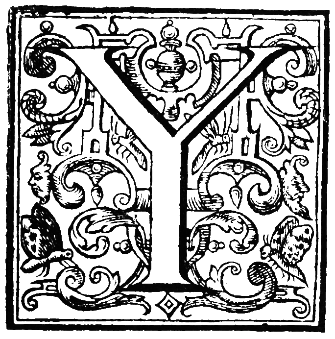 Y